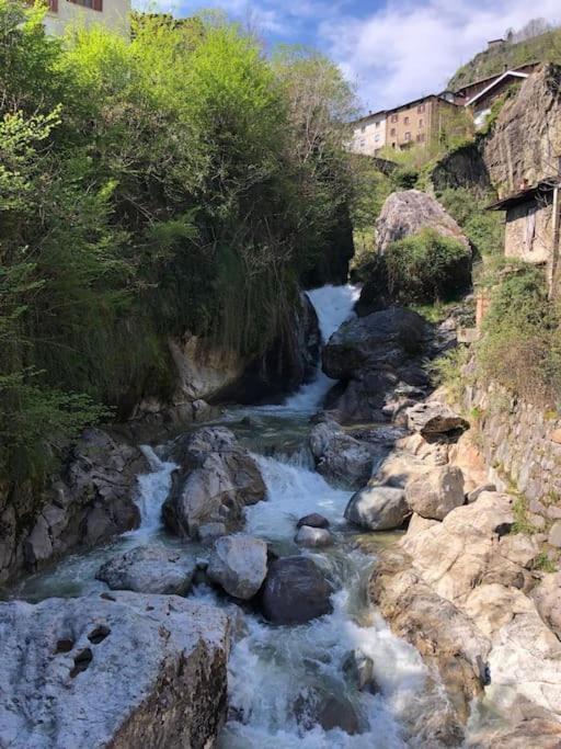 Il Sole Di Ester برانسي المظهر الخارجي الصورة